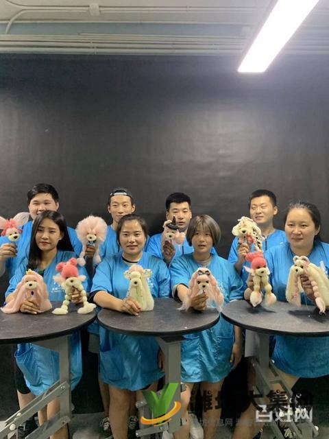 諸城專業(yè)寵物美容學校? 一諾寵物美容培訓