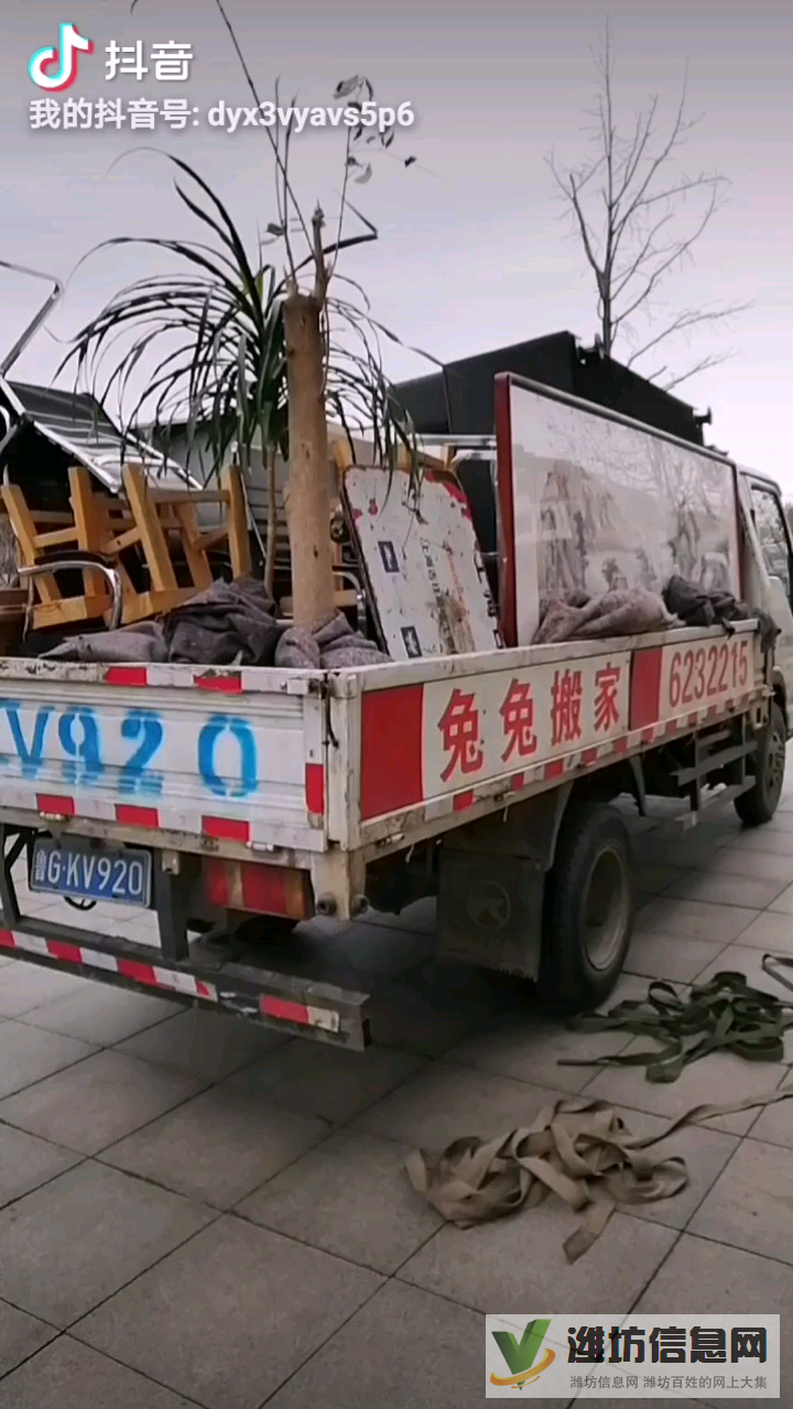 昌樂兔兔搬家6232215